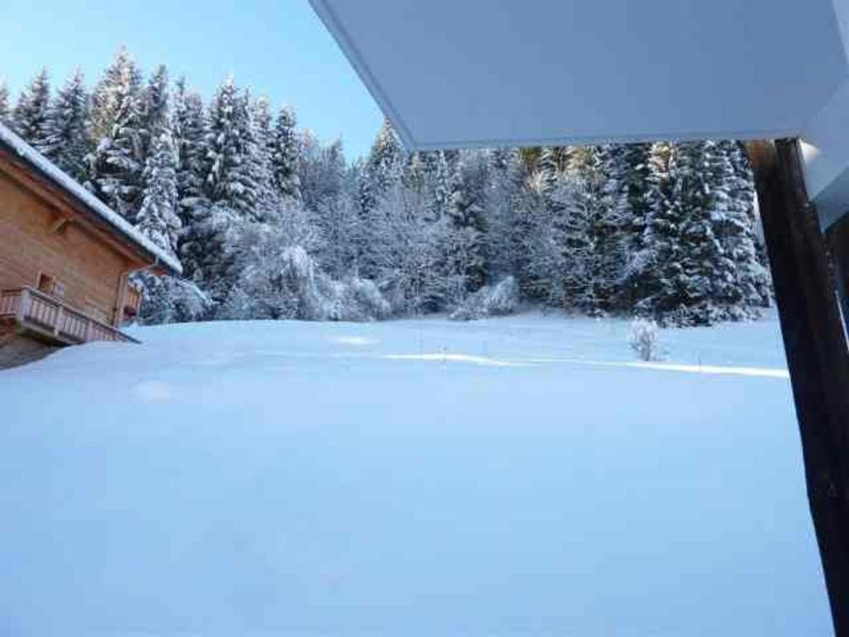 Appartement 3 Pieces Proche Centre Et Pistes, Animaux Admis, Parking Prive - Fr-1-524-34 莫尔济讷 外观 照片